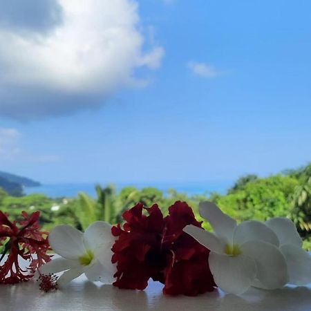 Cella Villa Anse a La Mouche エクステリア 写真