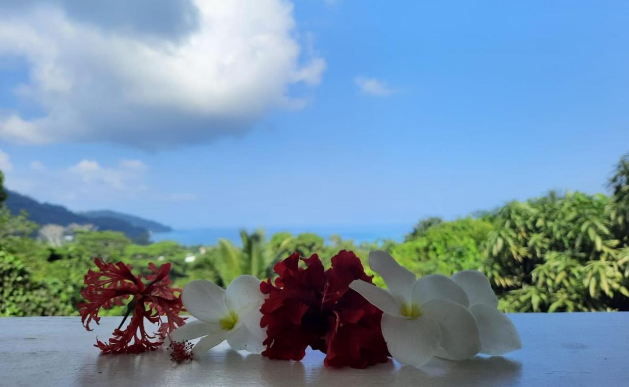 Cella Villa Anse a La Mouche エクステリア 写真